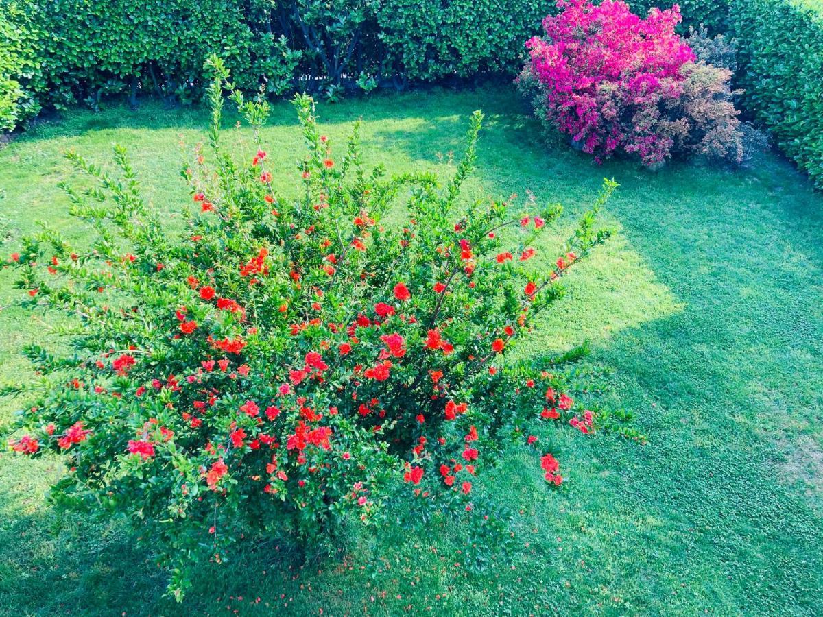 Appartamento Con Giardino Al Melograno Locarno Bagian luar foto
